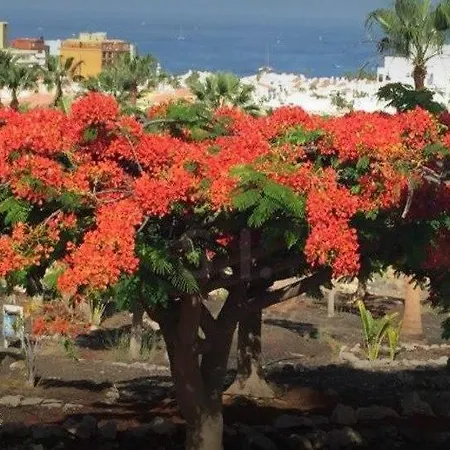 Апартаменты Laguna Park Ii *